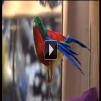 STAGE TUBE: Backstage Tour at West End PRISCILLA's Wardrobe Department